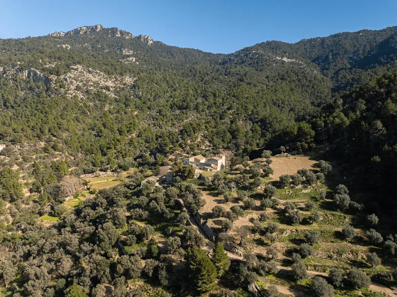 Historic Estate - Finca de sa Fortuny in Estellencs — photo 11