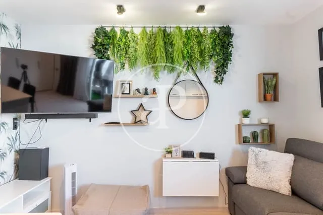 Apartment for rent in Magalluf, Calvià — photo 3