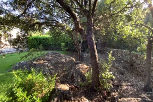Pollensa, country house in absolute rural idyll in Pollença with pool and holiday rental license — photo 7
