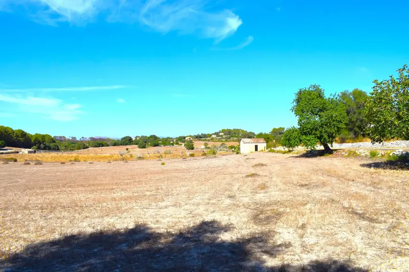 Finca rústica edificable de 32.462 m2, situada entre Llubí y Santa Margalida, en un entorno tranquilo y con hermosas vistas abiertas a la Se — photo 4