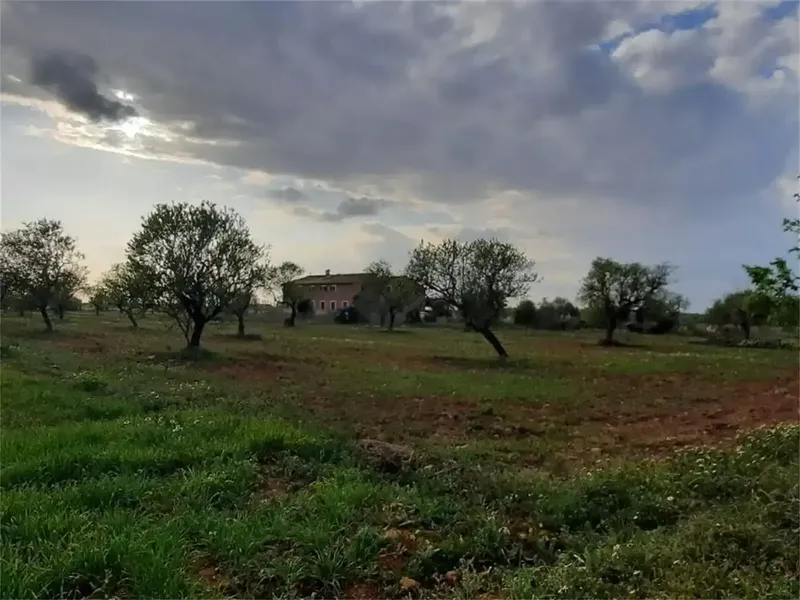 Casa de campo en Mallorca, Campos de 375 m2 construidos sobre una parcela de 15.429 m2. A tan sólo 7 km de una de las playas más bonitas de  — photo 2