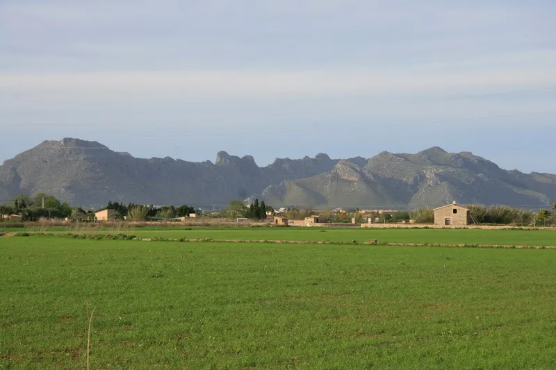 Rustic Finca for sale in Pollença, Mallorca, Baleares, Mallorca — photo 2