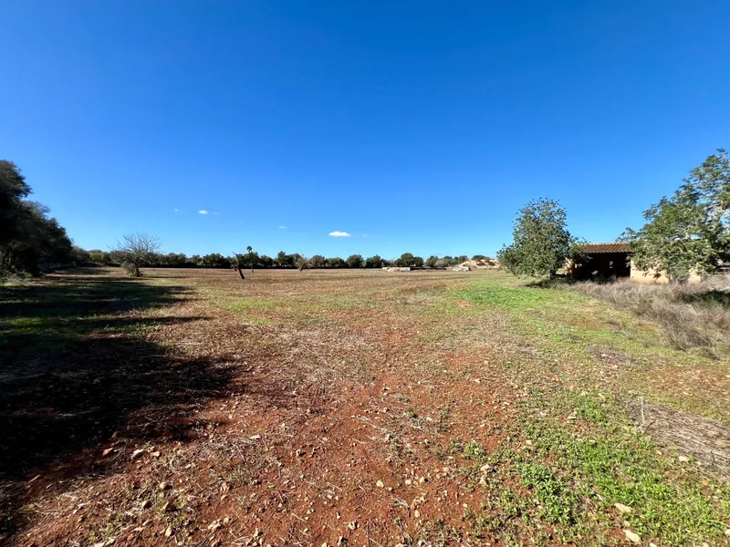 Spacious Plot in Campos with Project and Foundations Completed — photo 9