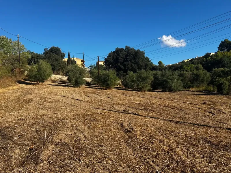 En el entorno de Campanet, se encuentra esta finca rústica, una propiedad que ofrece la oportunidad de disfrutar de la tranquilidad del camp — photo 2