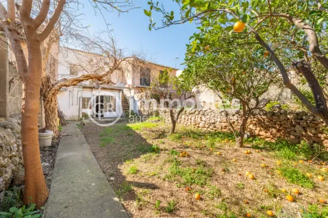 House on Carrer de Son Amengual — photo 1