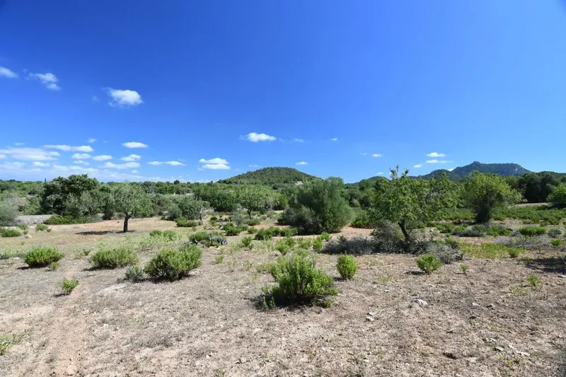 Beautiful hillside plot with panoramic views near Cas Concos - Es Carritxo — photo 1
