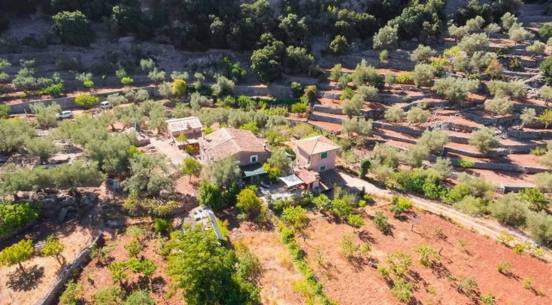Rustic finca in the heart of the Sierra de Tramuntana — photo 5
