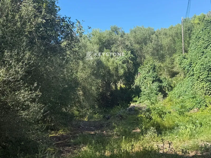 Plot — photo 3