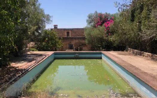 Rustic Finca in Campos — photo 11