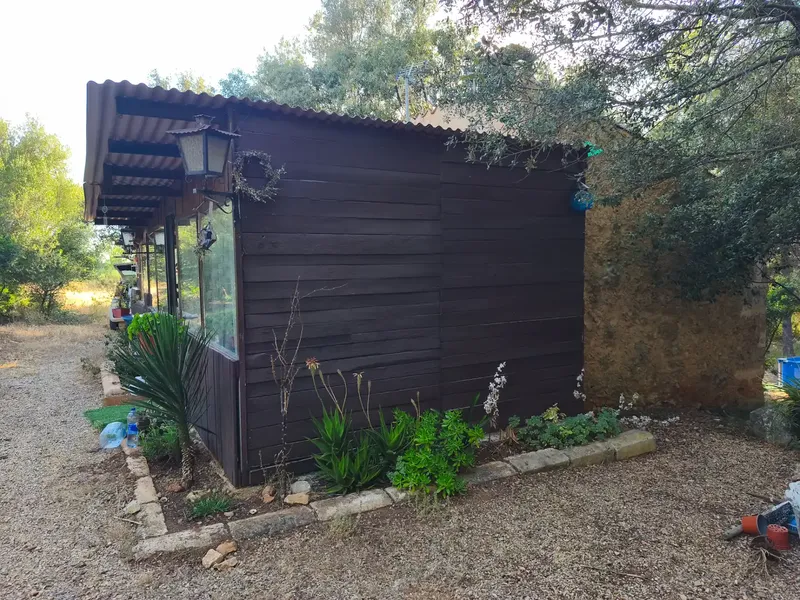 Finca of 12000 m² in the area of Sa Comuna, almost entirely enclosed by stone wall, with an old stone cottage of about 30 m² and an annex — photo 6