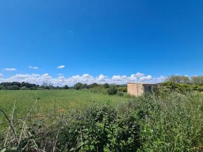 Country House - Manacor, Plot Surface 1650m² — photo 5
