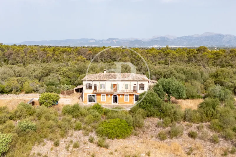 Exceptional Rustic Estate with Endless Possibilities for Sale in Sineu — photo 6