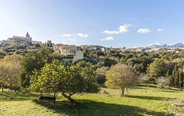 Unique estate with renovation project for sale in Campanet, North Mallorca — photo 10