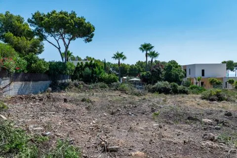 Land in Sol De Mallorca, Mallorca — photo 12