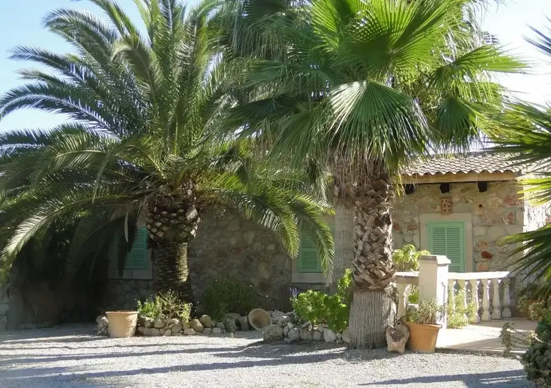 Beautiful finca with extensive horse riding facilities and stables in the south center of the island with excellent connections — photo 9