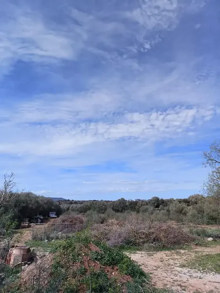 Incredible rustic estate located in the beautiful area of Son Vaquer, a few minutes from Manacor. — photo 12