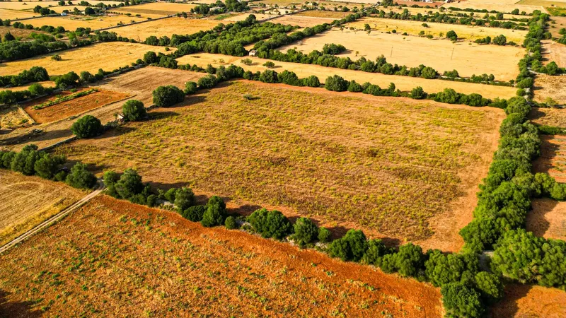 Plot in Felanitx with potential for your dream home — photo 9