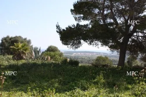 Outstanding landhouse with panoramic views to mountains and landscape in Son Carrió — photo 2