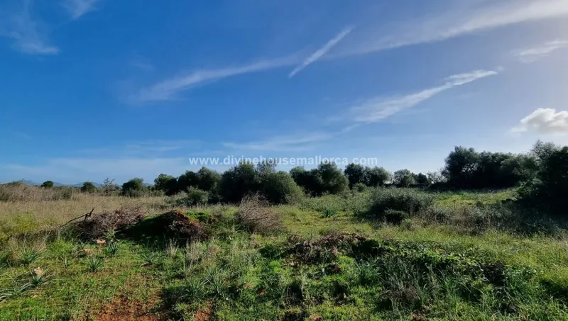 Rustic plot with project in Ses Salines — photo 5