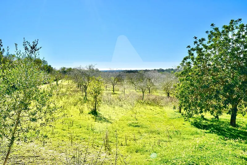 Building plot in a great location — photo 9