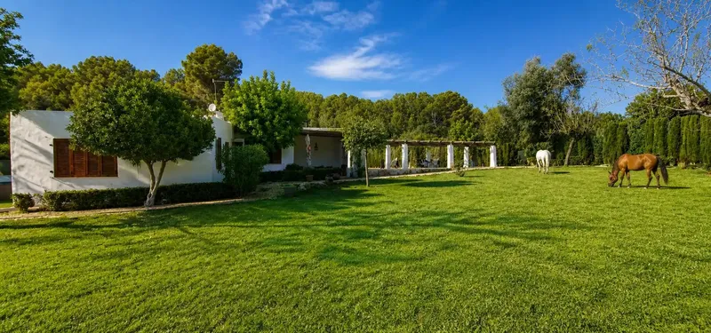 The property is located on a flat south-facing plot of approximately 4500 m2, a short distance from the town center of San — photo 8