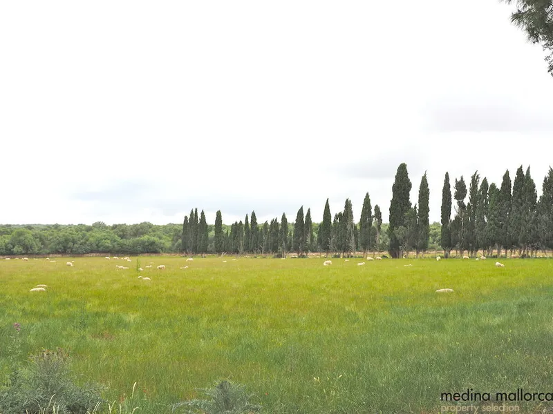 Rustic finca in Maria de la Salut — photo 9