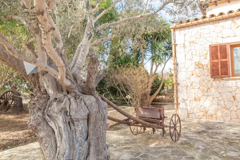 Villa in Can Picafort, Province of Balearic Islands — photo 9