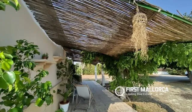 Finca/Country House for sale in Lloret de Vista Alegre, Mallorca — photo 3