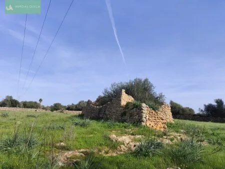 Rustic property - Santa Margalida, Built Surface 50m², Plot Surface 15767m², 1 Room, 1 Bathrooms — photo 7