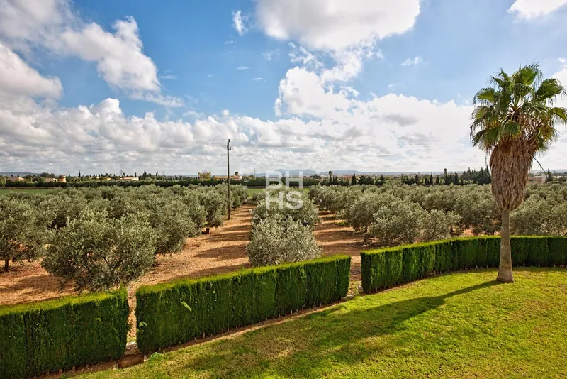 Rustic Finca for sale in Marratxí — photo 4