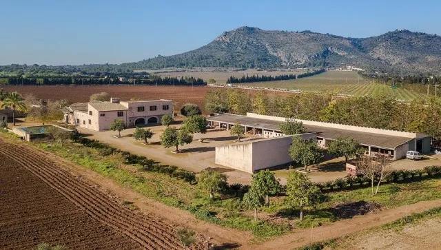 Enormous Mallorca country property with investment potential for sale in Llubí, Mallorca — photo 3