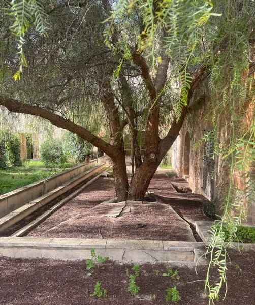 Unique 1880 Estate in Campos Offering Versatile Investment Opportunities — photo 5