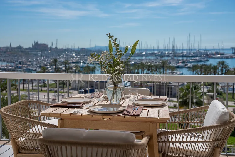 Palma - Paseo Maritimo — photo 5