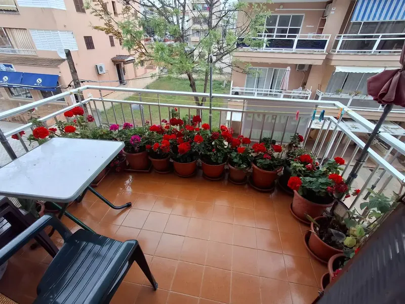 Carol Serrano Real Estate Agent offers for sale NICE APARTMENT IN CALA MILLOR — photo 5
