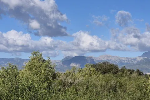 Land in Costitx, Mallorca — photo 1