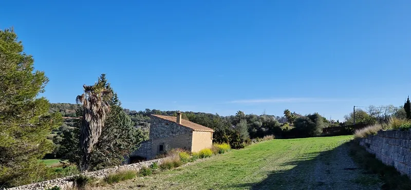 Country house project, 34,000 m² with building permit, mountain views, Montuiri — photo 8