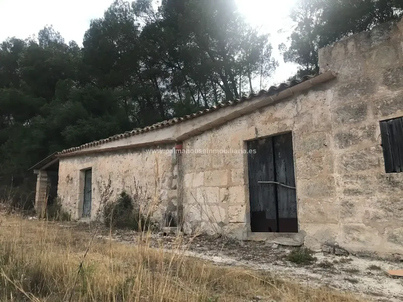 Old house surrounded by nature and with many possibilities!! Palma House Inmobiliaria offers you this spectacular rustic plot of about — photo 4