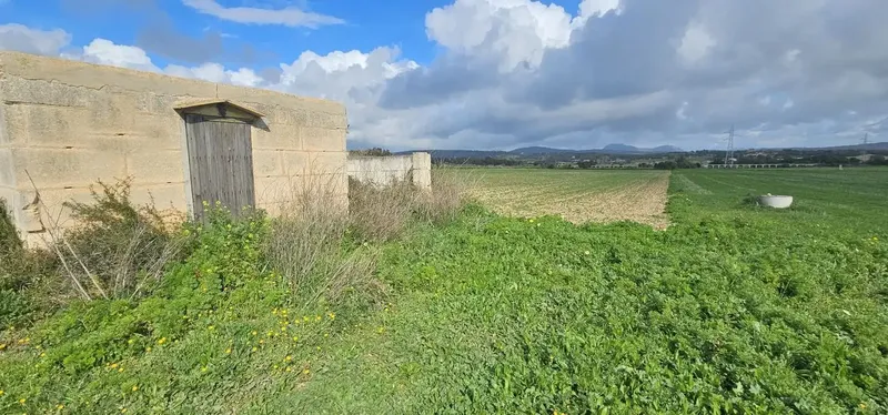 Terreno edificable, casita de unos 28m2, de los cuales el techo de unos 8 metros cuadrados se derribo con el tiempo (posibilidad de reformar — photo 2