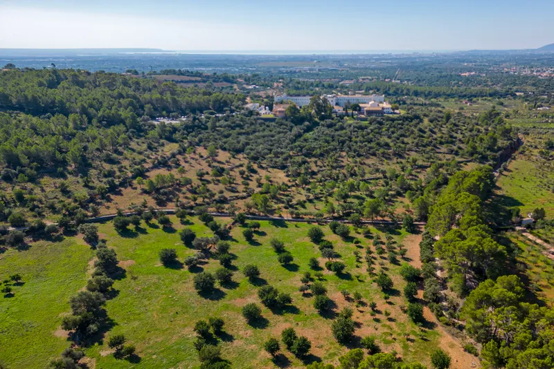 Plot in Bunyola - drone shot with view of the property — photo 7
