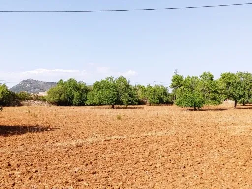 Magnificent plot for new construction Rustic land — photo 1