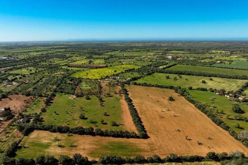 Spacious building plot with finca project and pool house near Campos — photo 9