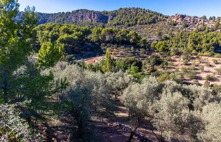 Mallorcan finca in idyllic area of Soller — photo 9