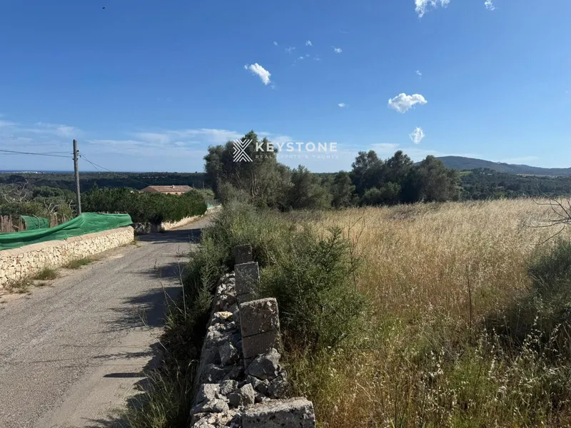 Plot — photo 5