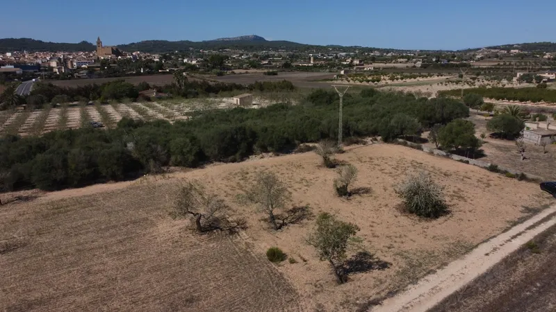 Rustic plot of 1,753 m² near Porreres — photo 6