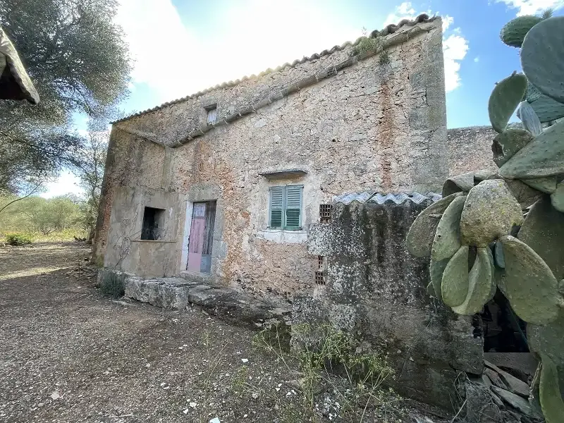 Old finca from 1870 for complete renovation — photo 9