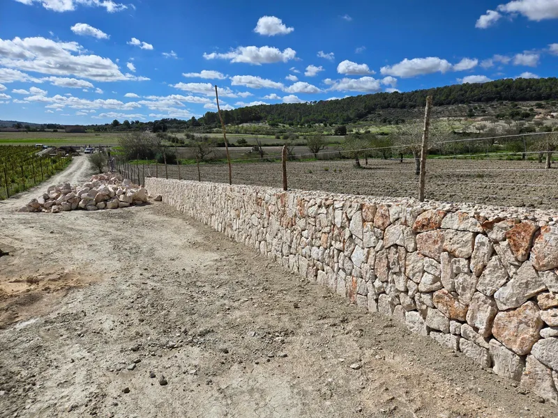 Rustic estate in Montuiri, Mallorca — photo 6