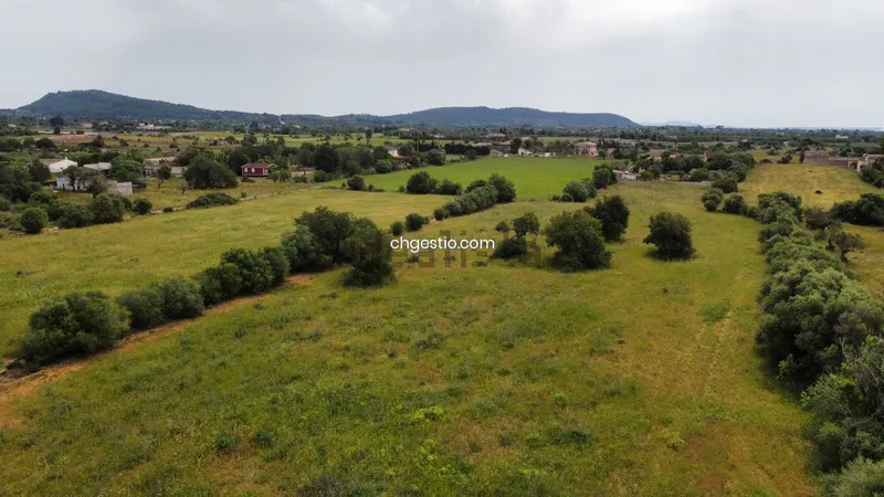 Plot in Llucmajor — photo 12