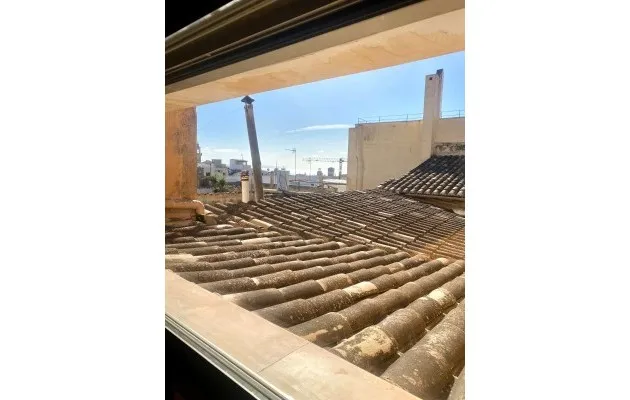 Palma · La Seu — photo 1