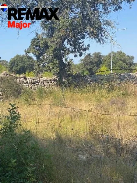 Part of buildable land in Costitx — photo 6