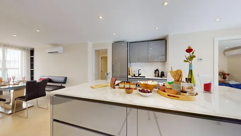 Located next to the emblematic Plaza España and just minutes from Plaza Patines, this exclusive, completely renovated apartment enjoys — photo 12